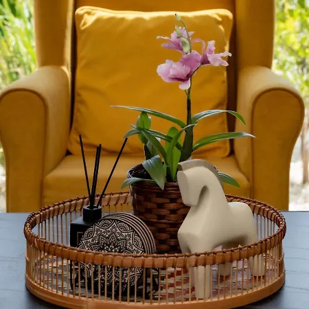 Levanda Dreams 8 Willa Paralimni